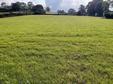 Grassy field