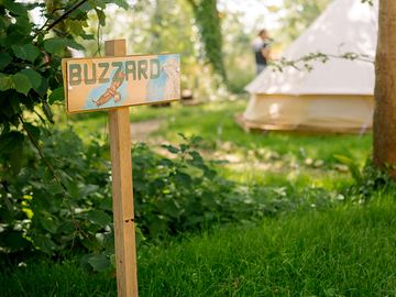 Buzzard bell tent