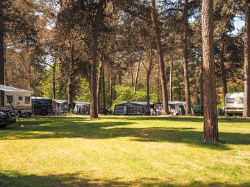 Camping pitch