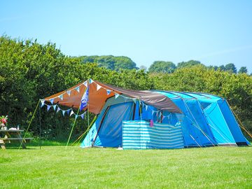 Sheltered and peaceful pitches in the family meadow