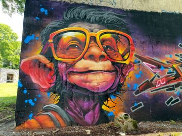Pumphouse chimp