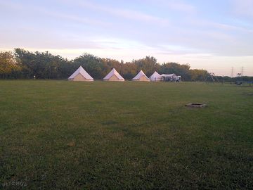 Main field