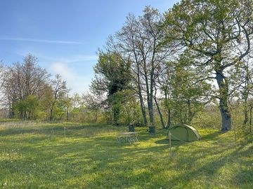 Tent pitches