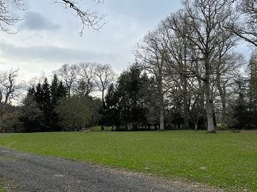 Trees around the site
