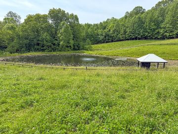 Powered site overlooking the pond