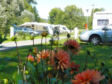 Flowers around the pitches