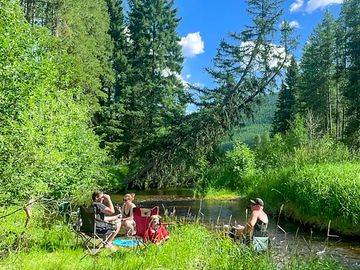 Peaceful views from the creek