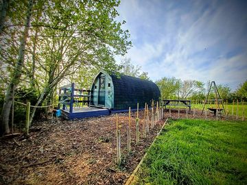 Outside our Peacock Pod