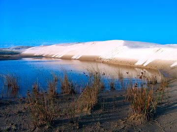 Cidreira dunes