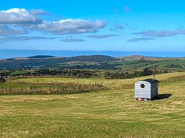 Bertie! In the beautiful Welsh countryside
