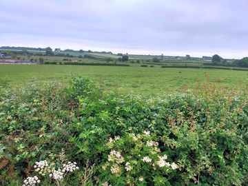 Camping field and views