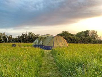 A grass tent pitch looking south west