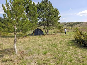 Tent pitches