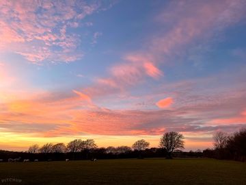 Camp field sunsets