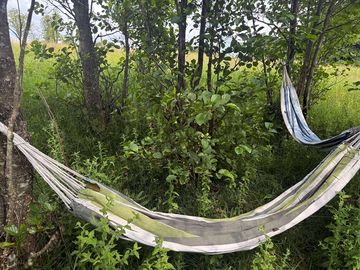 Hammocks on site