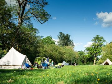 Camping field surrounded by trees