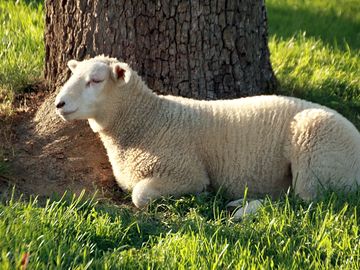 Entspannung in der abendsonne