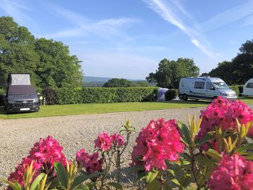 Beech Row in Summer - suitable for campervans and small caravans - on grass