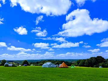 Grass pitches