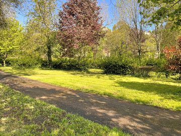 Pitches in sun and shade