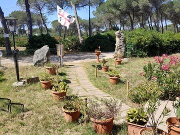 Site
