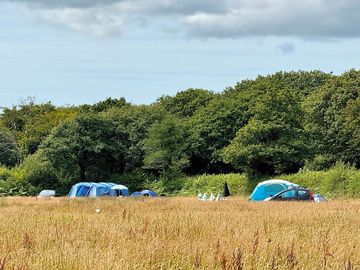 Non electric pitches