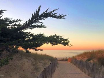 Golden hour at the beach