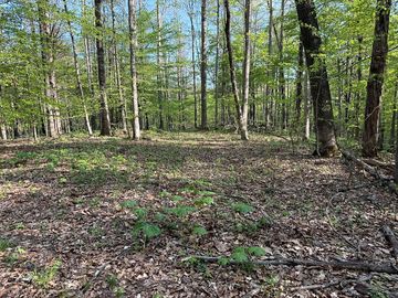 Site primitive campsite. near former historic site 2 story inn short walk to cave.