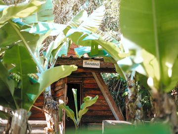 Wooden A-frame cabin nestled among lush banana trees. The cabin blends naturally into its surroundin