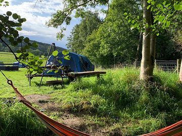 A quiet corner of hobby wood, bordering onto the stream, relax with the sound of the beck, peace.