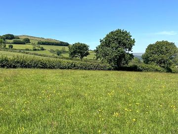 Camping field
