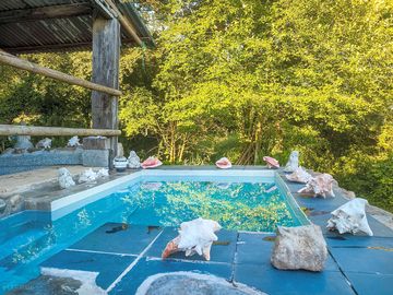 Communal plunge pool