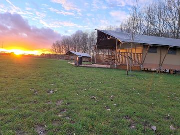 Safari tents at sunset
