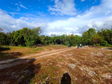 Camping field