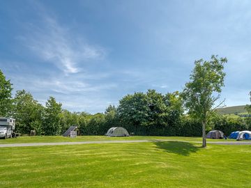 Grassy pitches