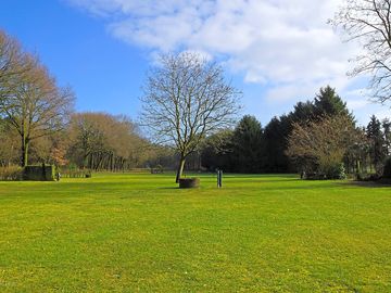 Sunny day at the park