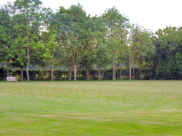 The meadow