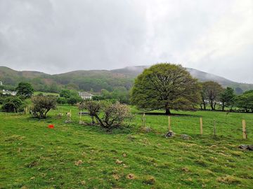 Tent pitches
