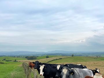 Views around the farm