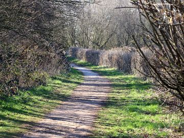 Country walks from the pitches