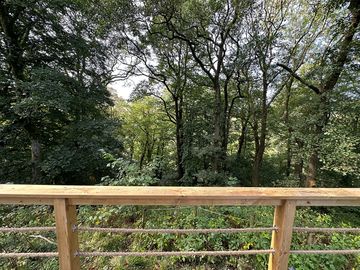 View from deck