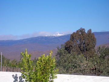 Views from the site