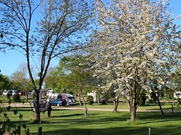 The site in spring