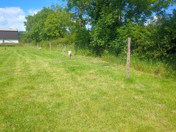 Grass pitches