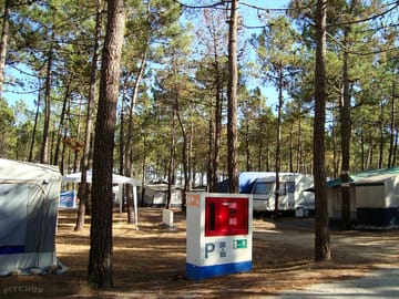 Camping area under the shade of trees