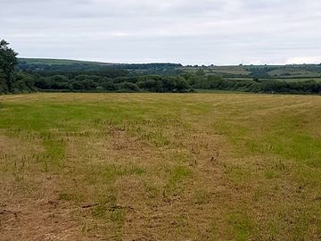 Grass pitches
