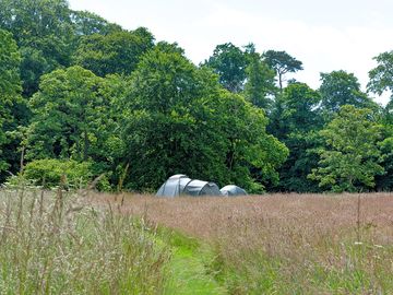 Grass pitches