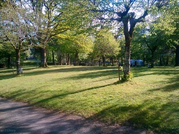 Spacious pitches