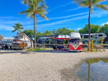 Park between the palms