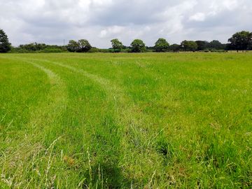 The field